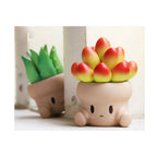 Penpot Hugging Succulents Series 1 Blind Box