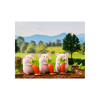 Lulu The Piggy My Sweet Farm Garden Open Box - Choose Your Favourite!
