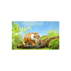 Panghu Fat Tiger and Baby Open Box