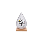 Snoopy Weather Terrarium Blind Box Series