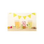 SMISKI Birthday Series Blind Box