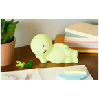 Smiski Touch Light vol 2 - 3 different brightnesses - limited stock!