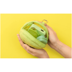 SMISKI Plush Key Chain & Cushion Pouch - Choose Your Favourite!