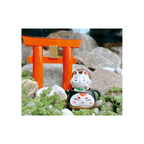 Tea Fox Daruma Blind Box Series 1 & 2